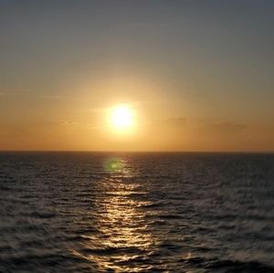 Meet your Posher, Misty